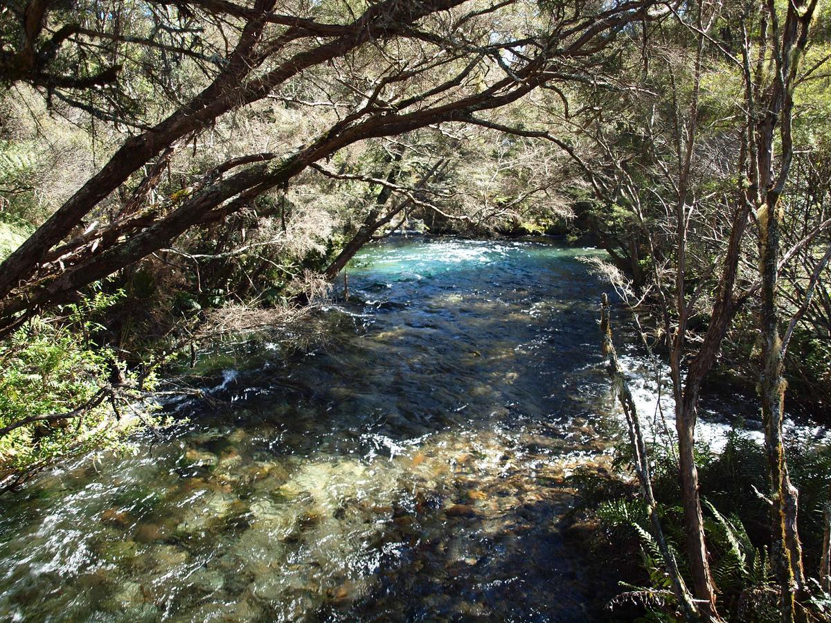 Annies Nirvana Lodge Backpackers Takaka Exterior photo
